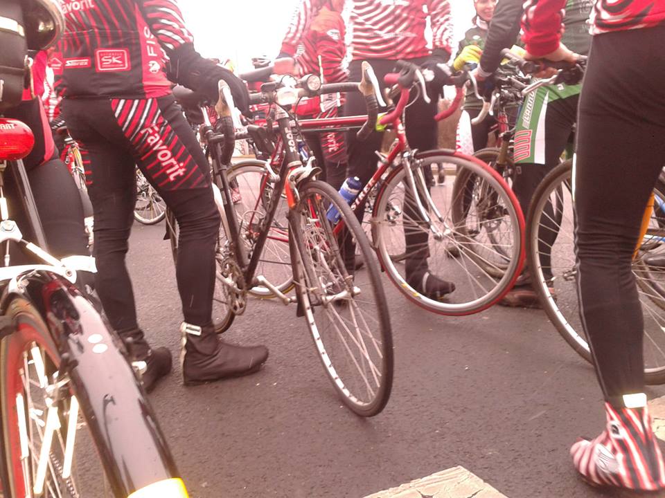 1503260_562475800505715_1349954575_n